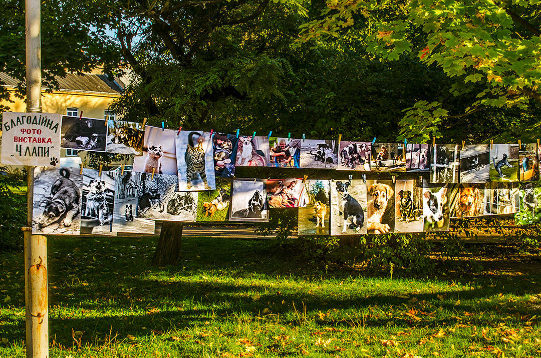 ... ����� ������ ���������� �� PhotoGeek.ru #�������� ���������� #���������������