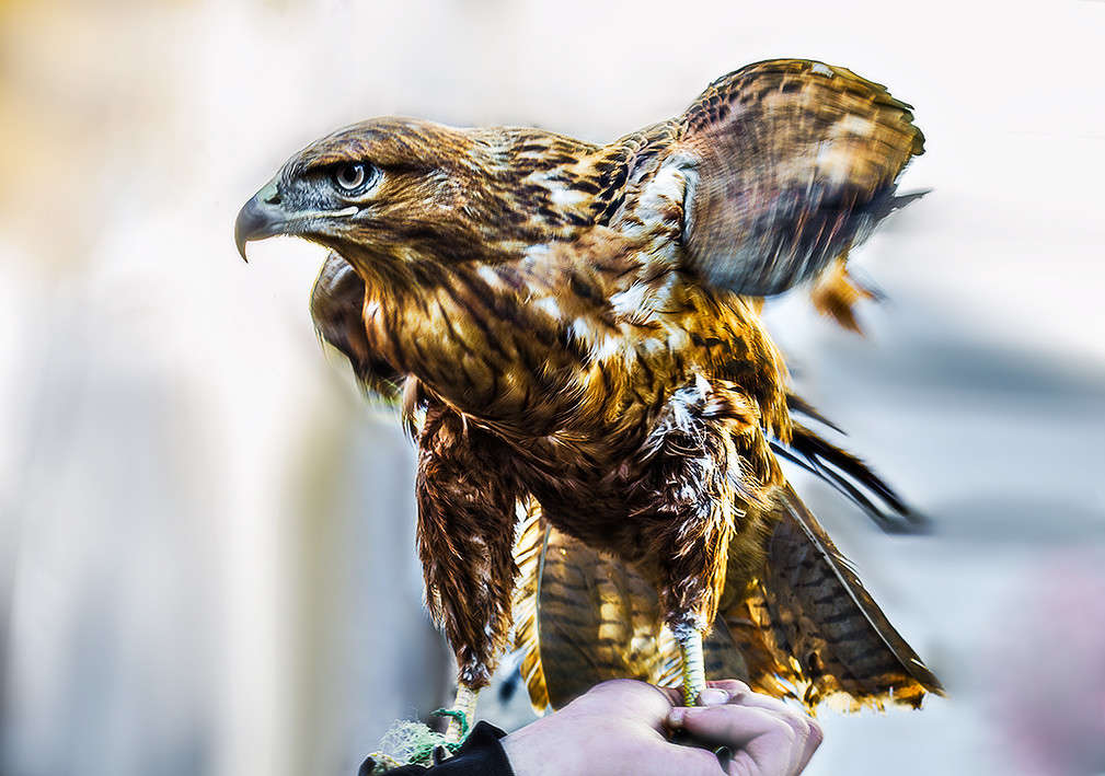 � �� ��� ������, � �� ? ����� ������ ���������� �� PhotoGeek.ru #�������� ��� #�������