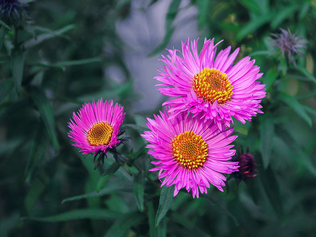 ... ����� ������ ���������� �� PhotoGeek.ru #������ ��� ������� #���������