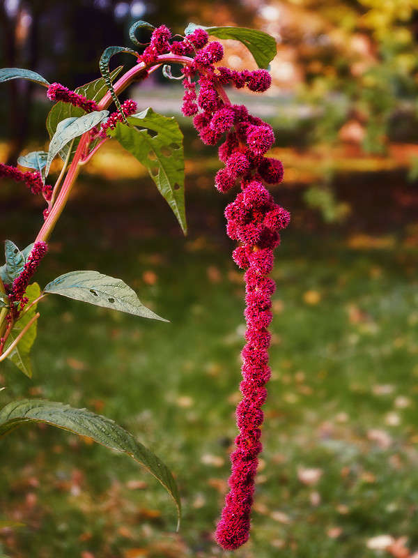 ... ����� ������ ���������� �� PhotoGeek.ru #������ ��� ������� #���������