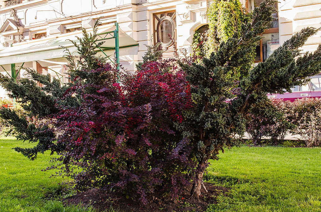 ... ����� ������ ���������� �� PhotoGeek.ru #������ ��� ������� #���������