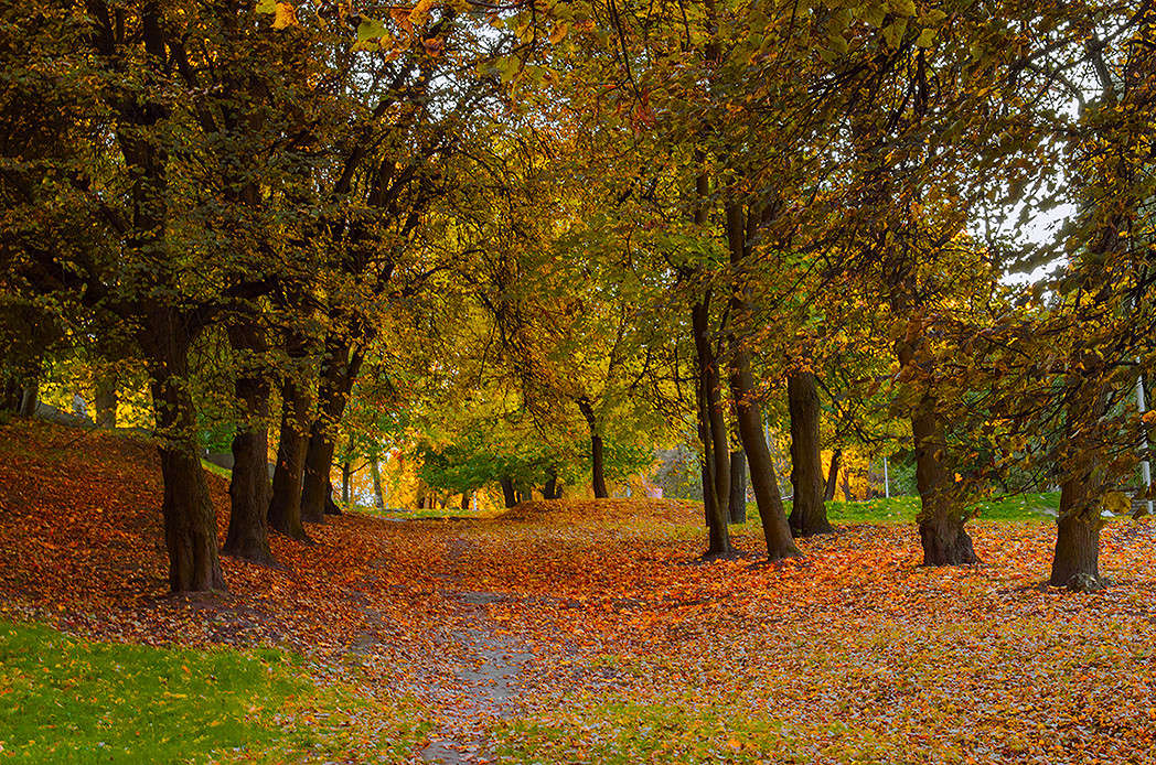 ... ����� ������ ���������� �� PhotoGeek.ru #������ ��� ������� #���������