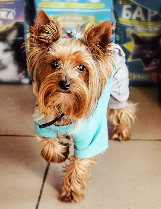 ... ����� ������ ���������� �� PhotoGeek.ru #�������� ��� #������� #�������� ���