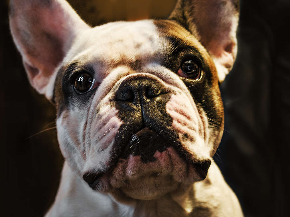 ... ����� ������ ���������� �� PhotoGeek.ru #�������� ��� #������� #�������� ���