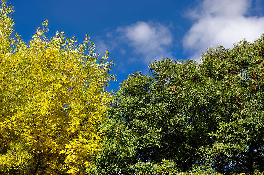 �����, ������, ������� ����� ������ ���������� �� PhotoGeek.ru #������ ��� ������� #���������