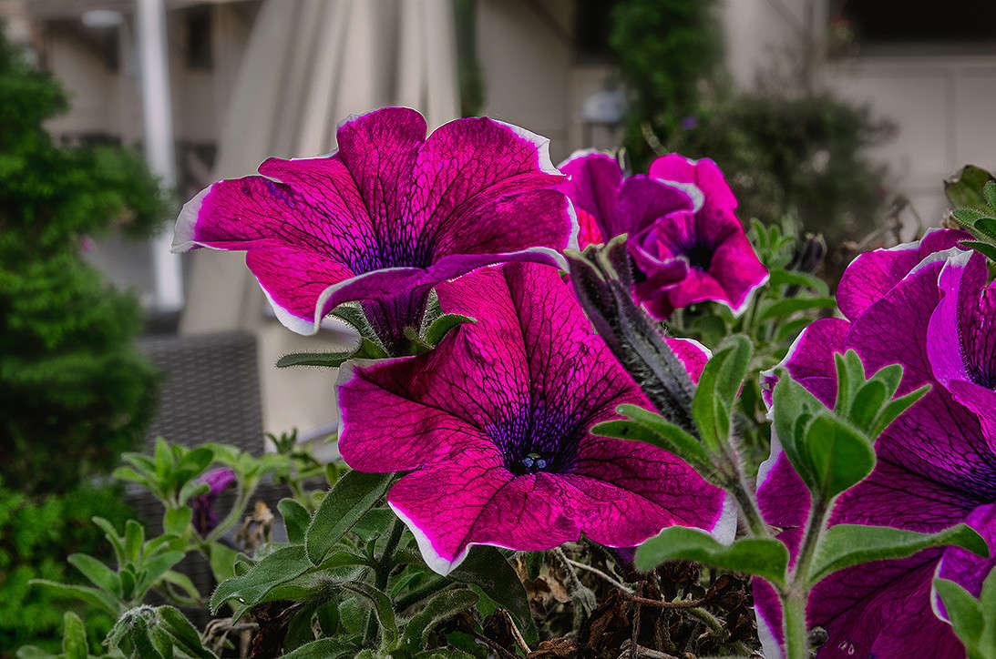 ... ����� ������ ���������� �� PhotoGeek.ru #������ ��� ������� #���������