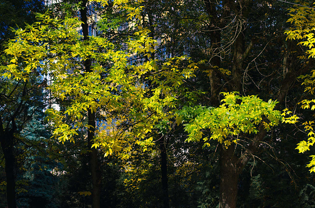 ... ����� ������ ���������� �� PhotoGeek.ru #������ ��� ������� #���������