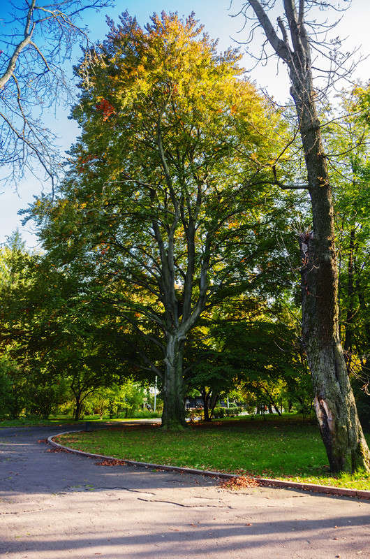 ... ����� ������ ���������� �� PhotoGeek.ru #������ ��� ������� #���������