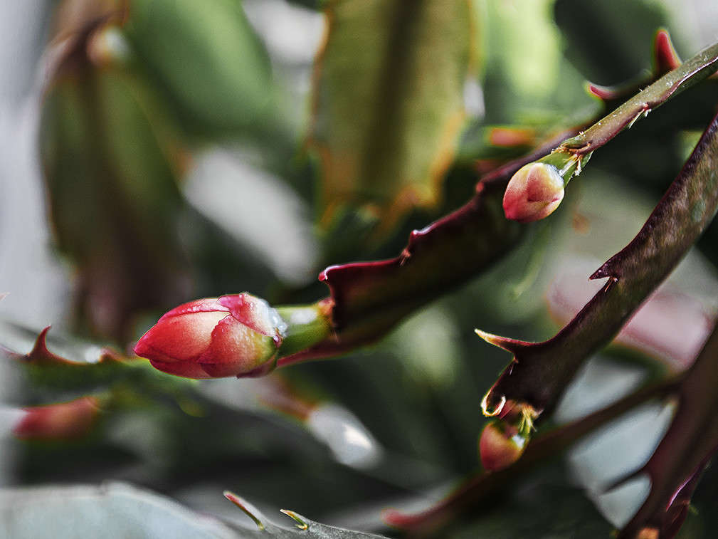 ���������. ����� ������ ���������� �� PhotoGeek.ru #������ ��� ������� #���������