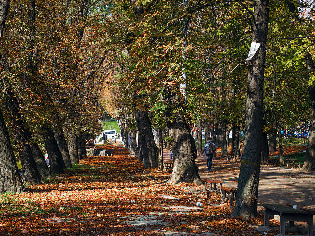 ��������� ������� ����� ������ ���������� �� PhotoGeek.ru #������ ��� ������� #���������