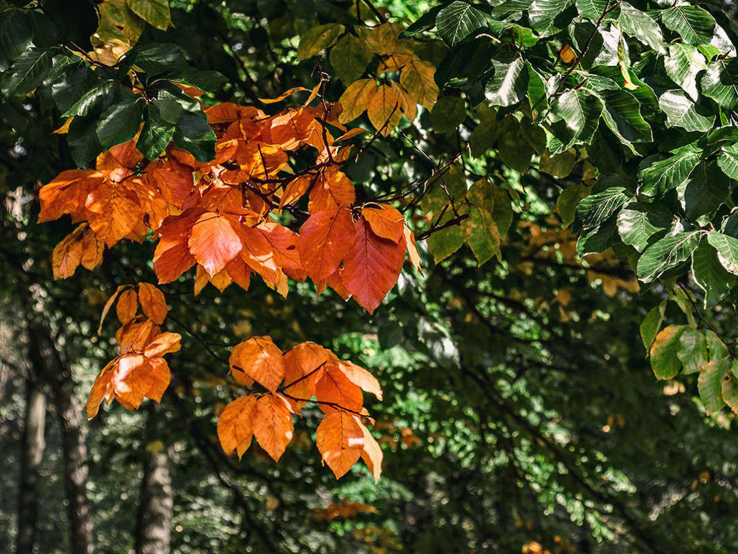 ��� ������ ����� ���������...... ����� ������ ���������� �� PhotoGeek.ru #������ ��� ������� #���������