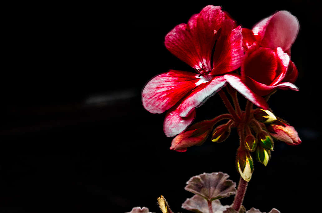 ... ����� ������ ���������� �� PhotoGeek.ru #������ ��� ������� #���������