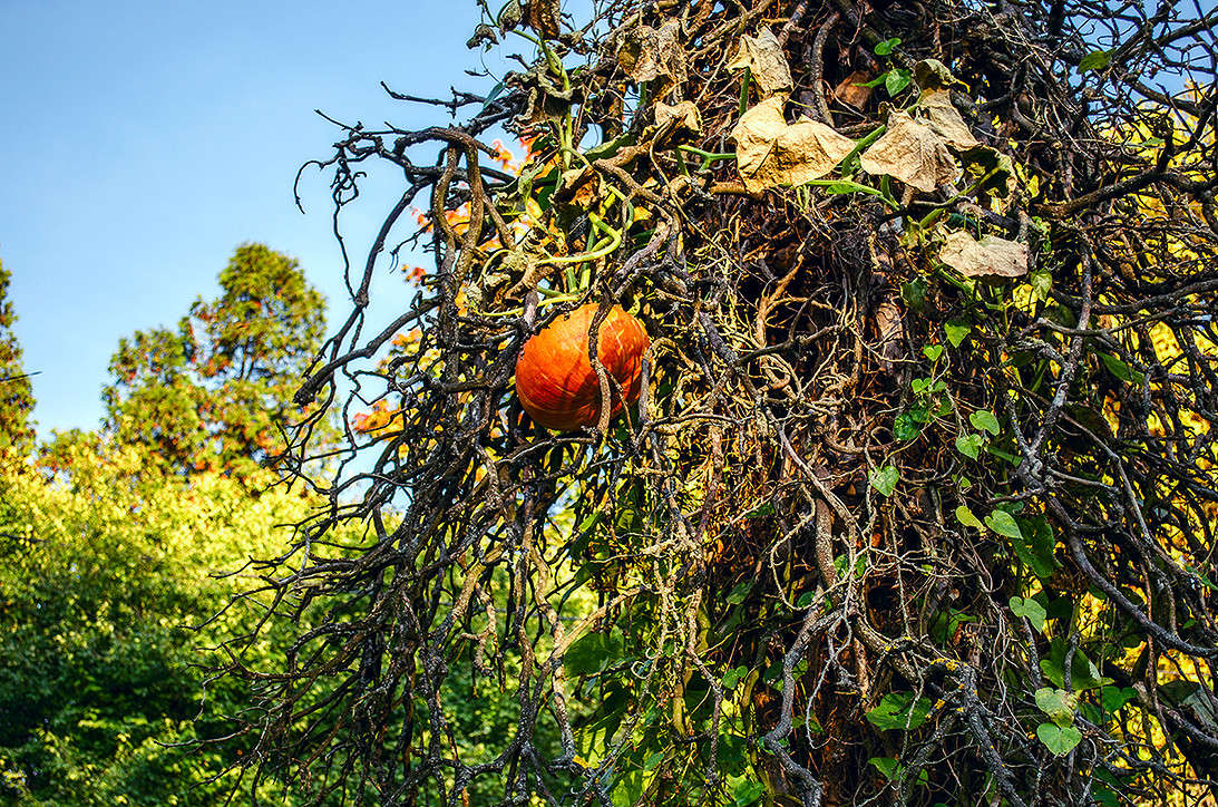 ��������������� ������������� ����� ������ ���������� �� PhotoGeek.ru #������ ��� ������� #���������