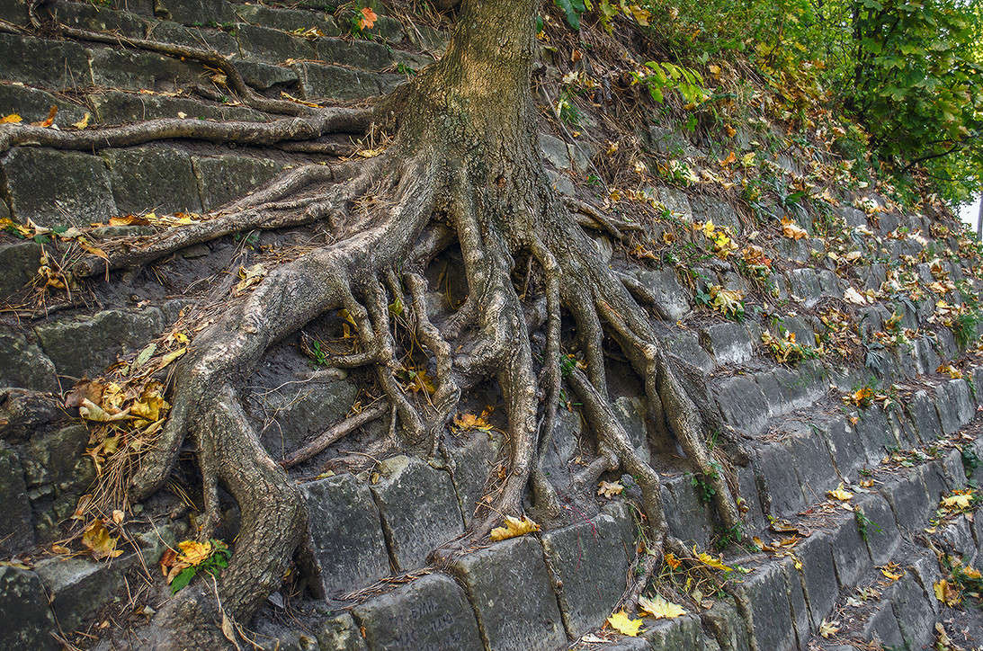 � � ����� �� �������� �������� ����� ������ ���������� �� PhotoGeek.ru #������ ��� ������� #���������