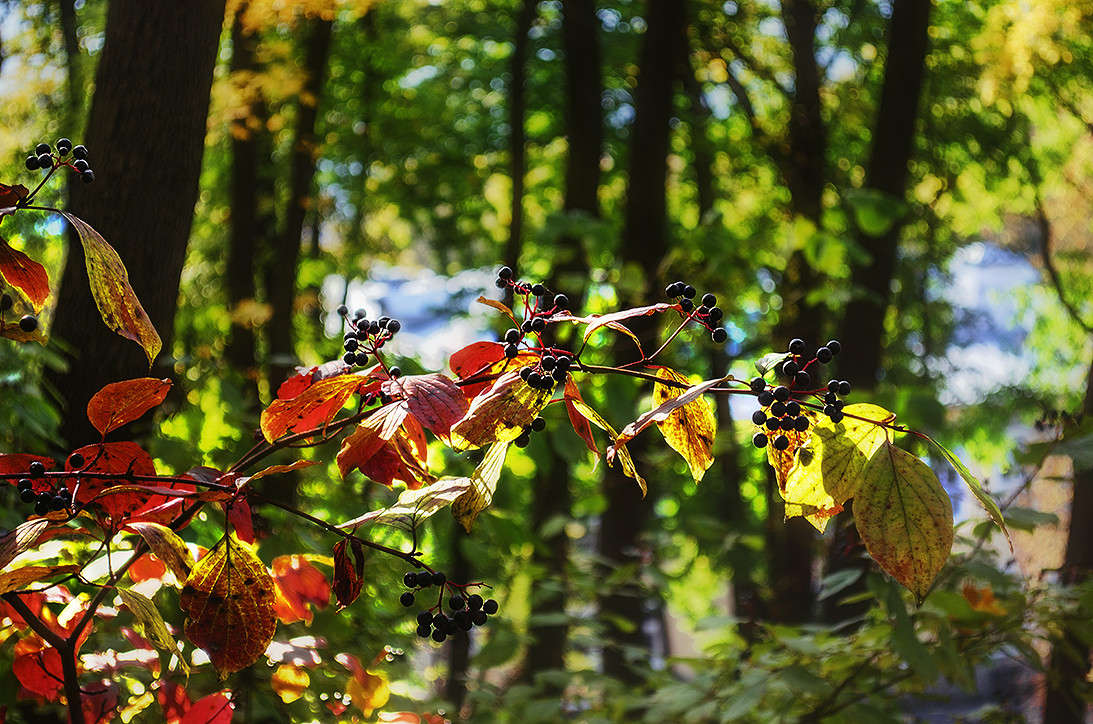 ... ����� ������ ���������� �� PhotoGeek.ru #������ ��� ������� #���������