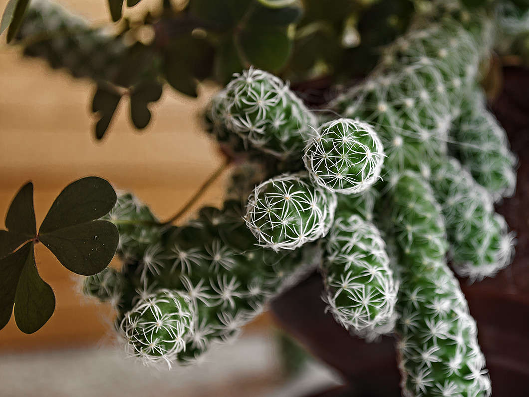 ���� ������� ����� ������ ���������� �� PhotoGeek.ru #������ ��� ������� #���������