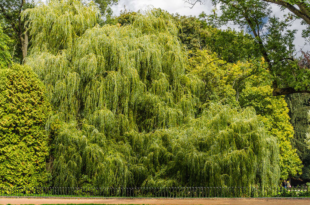 ��� ����� ���� ������� ����� ������ ���������� �� PhotoGeek.ru #������ ��� ������� #���������