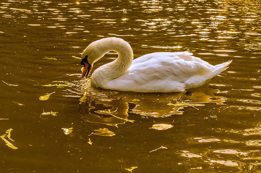 � ����� ������ �� ����� ������ ������ ������.... ����� ������ ���������� �� PhotoGeek.ru #������ ��� ������� #���������