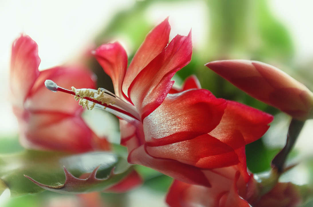 � ����� ����� ������ ���������� �� PhotoGeek.ru #����� #����� ��������������