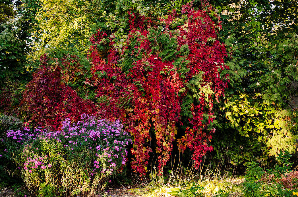 � ������� ������ ��� ������� ����� ������ ���������� �� PhotoGeek.ru #������ ��� ������� #���������