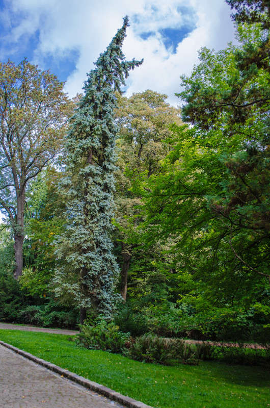 ... ����� ������ ���������� �� PhotoGeek.ru #������ ��� ������� #���������