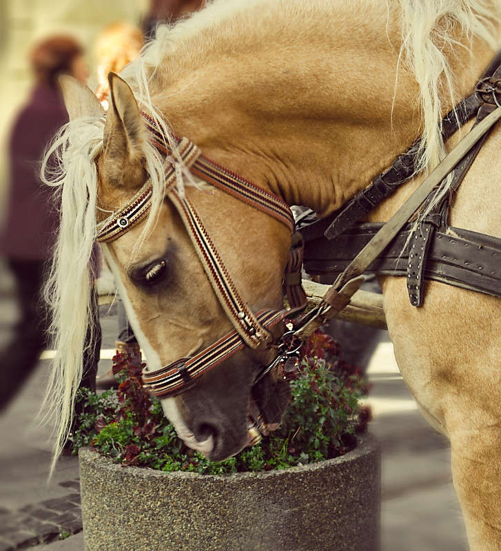 ������������..... ����� ������ ���������� �� PhotoGeek.ru #�������� ��� #�������