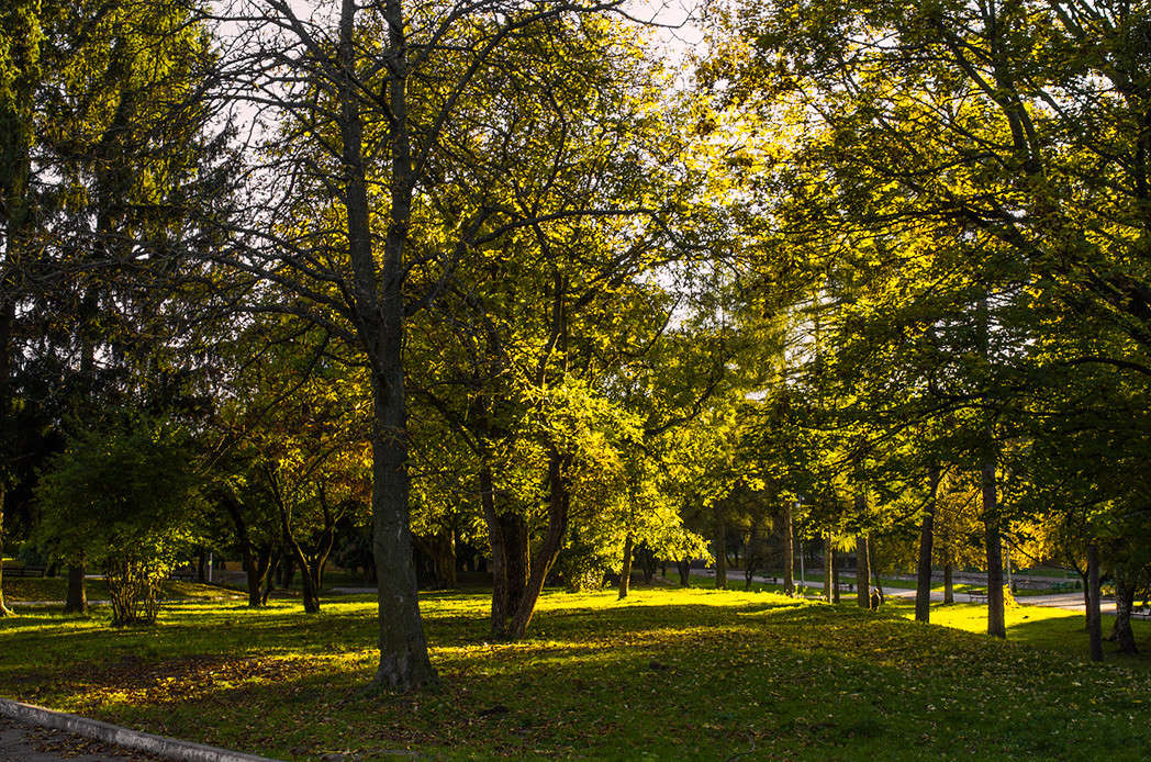 ... ����� ������ ���������� �� PhotoGeek.ru #������ ��� ������� #���������