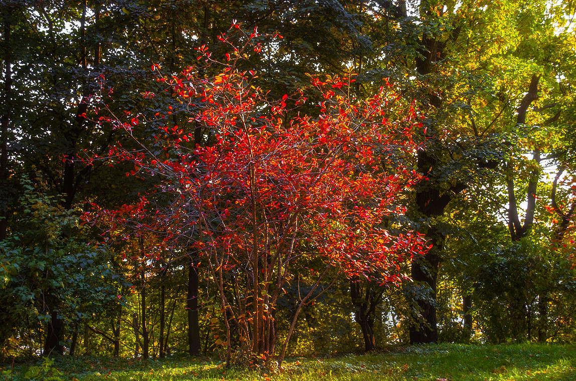 ... ����� ������ ���������� �� PhotoGeek.ru #������ ��� ������� #���������