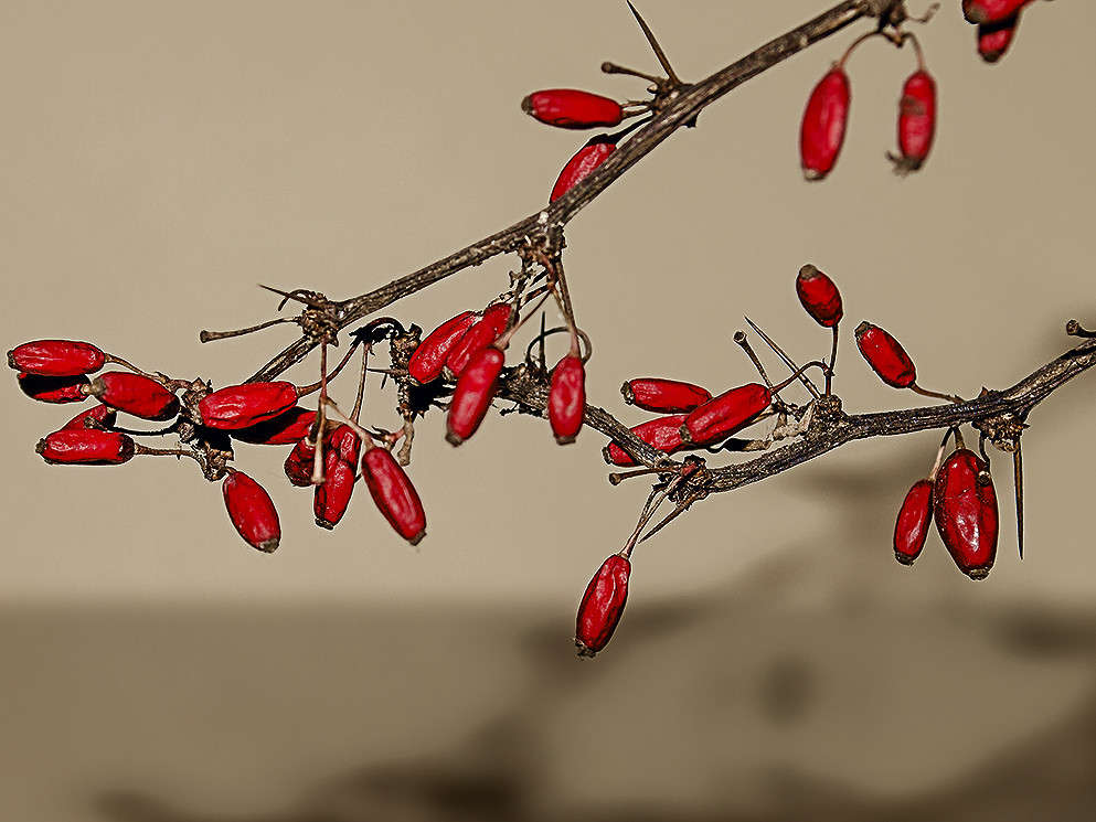 ... ����� ������ ���������� �� PhotoGeek.ru #�����