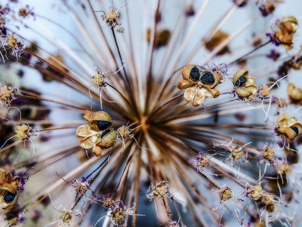 ... ����� ������ ���������� �� PhotoGeek.ru #�����