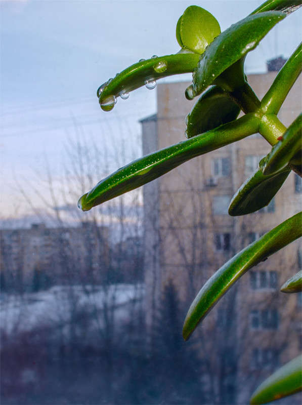 ... ����� ������ ���������� �� PhotoGeek.ru #�����