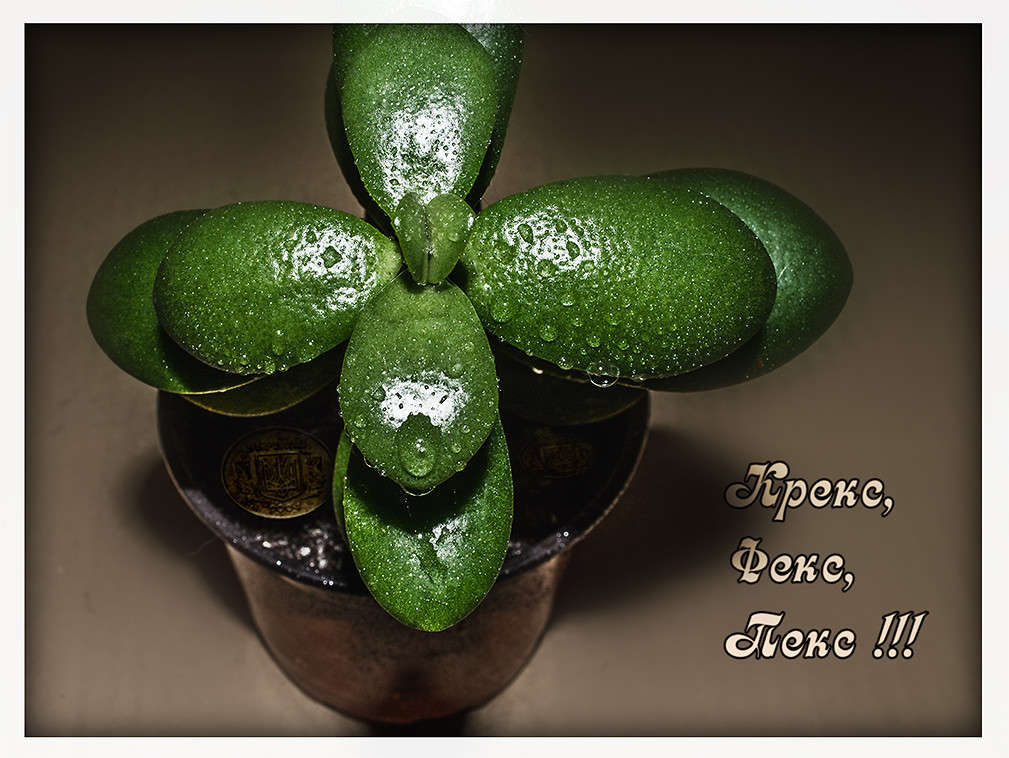 ... ����� ������ ���������� �� PhotoGeek.ru #�����