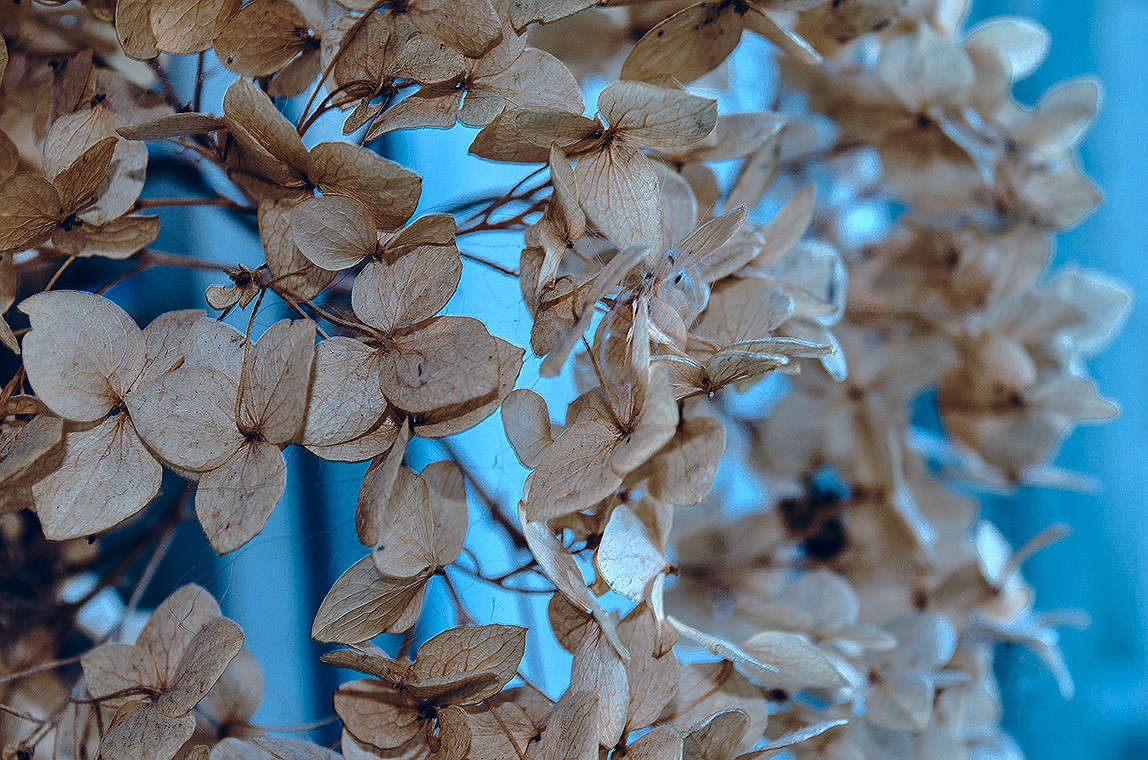 ... ����� ������ ���������� �� PhotoGeek.ru #�����