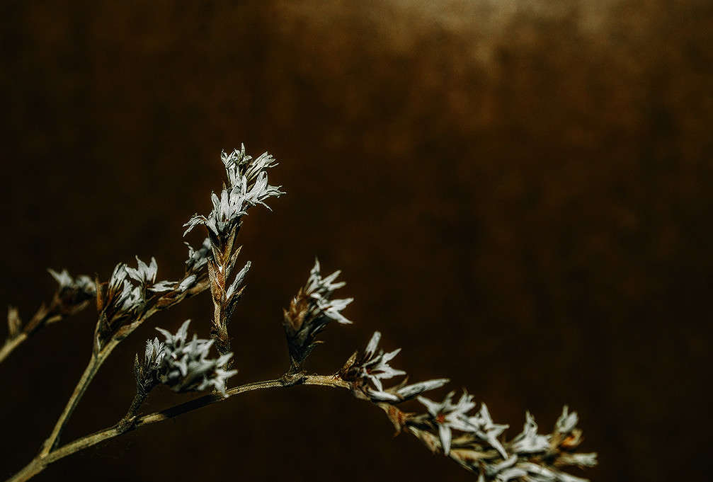 ... ����� ������ ���������� �� PhotoGeek.ru #�����