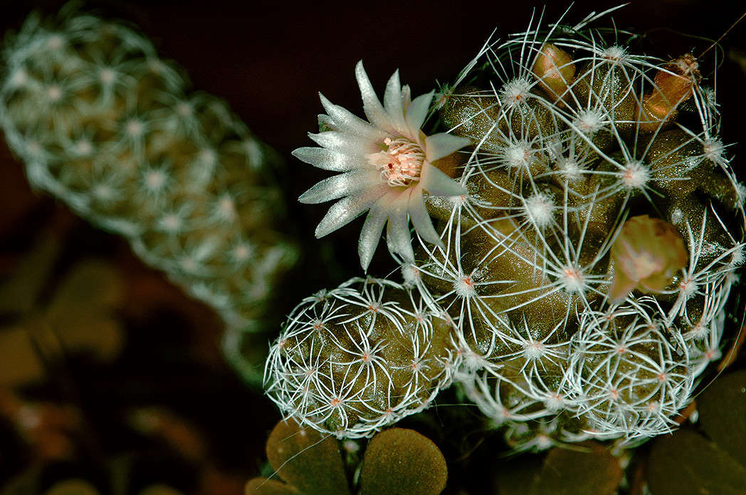 ... ����� ������ ���������� �� PhotoGeek.ru #�����