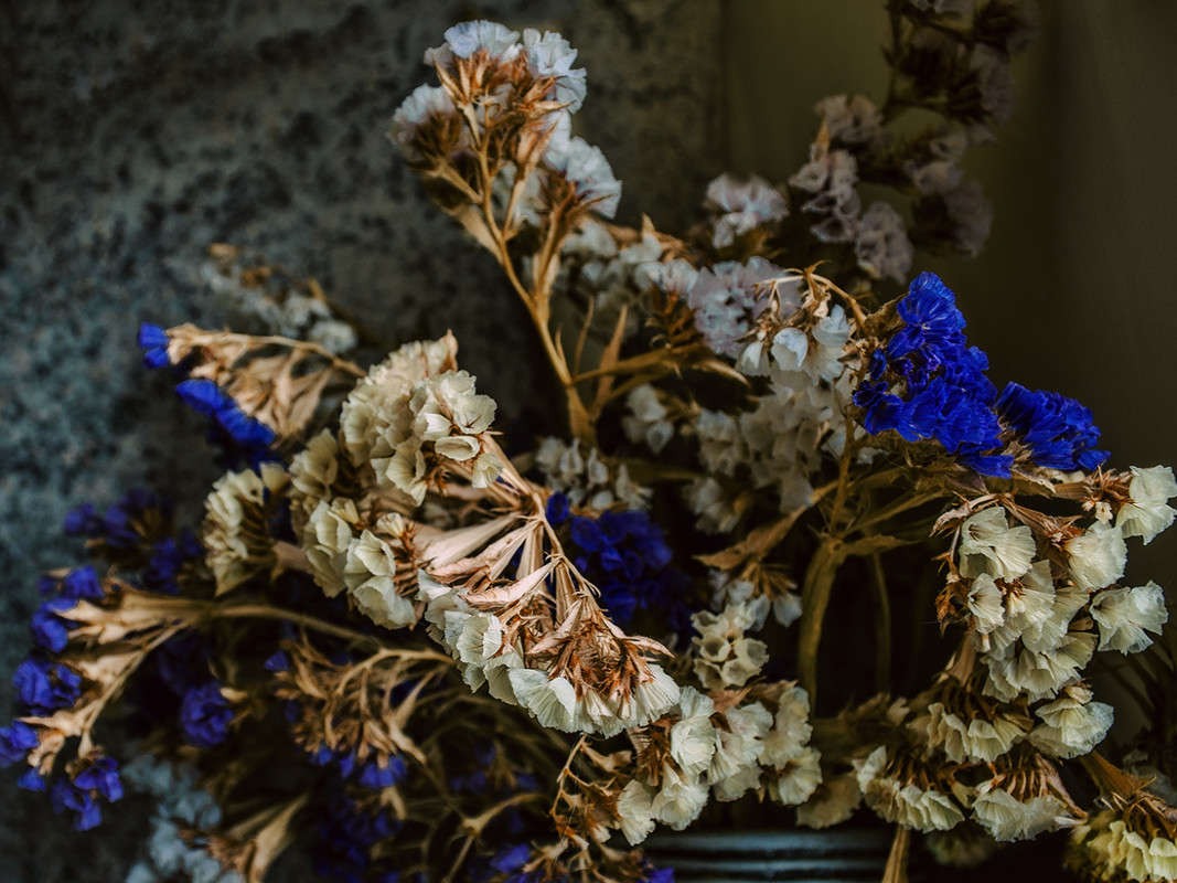 ... ����� ������ ���������� �� PhotoGeek.ru #�����