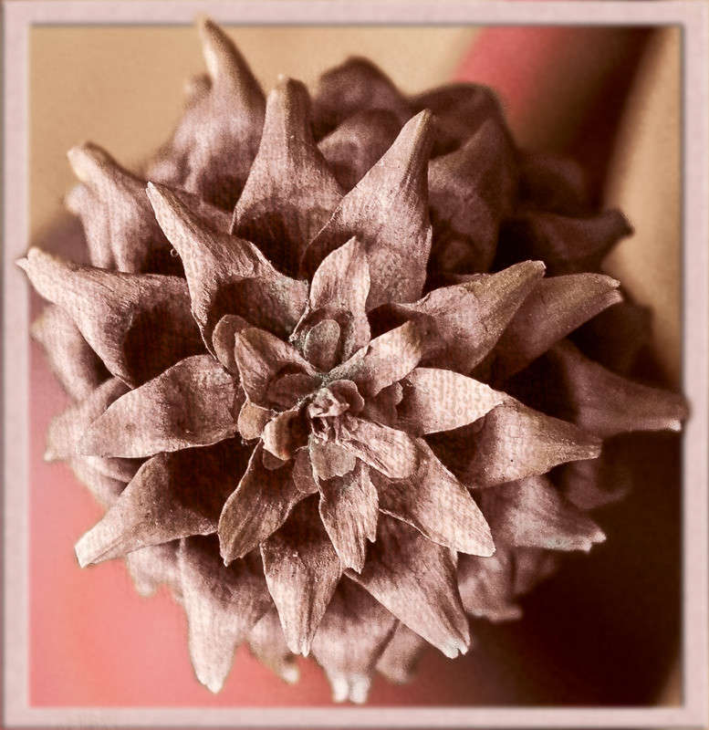 ... ����� ������ ���������� �� PhotoGeek.ru #�����