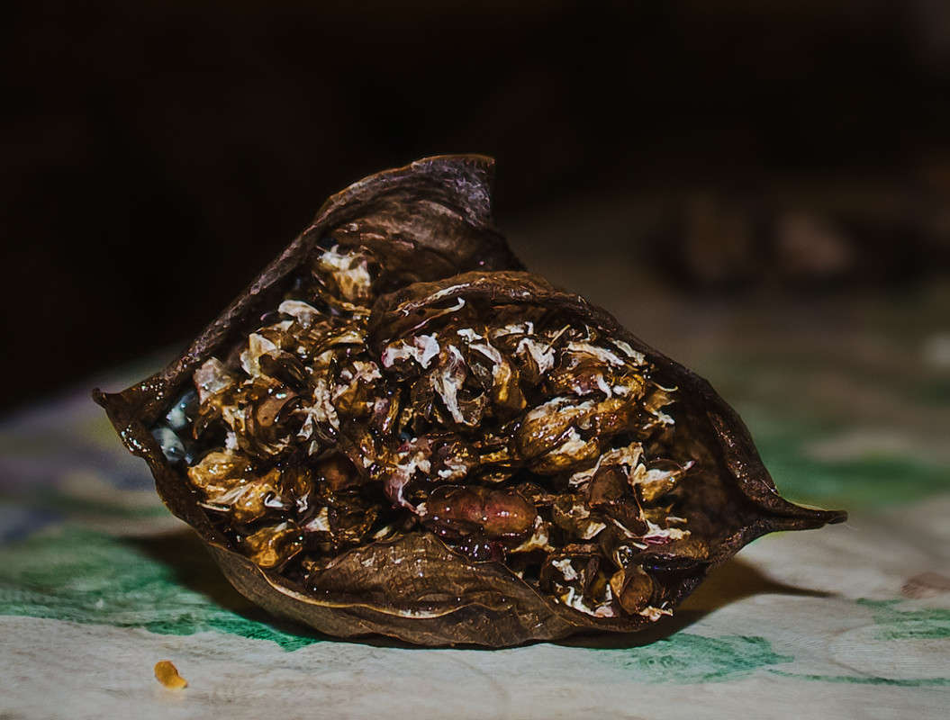 ��, ��� ����������.... ����� ������ ���������� �� PhotoGeek.ru #�����