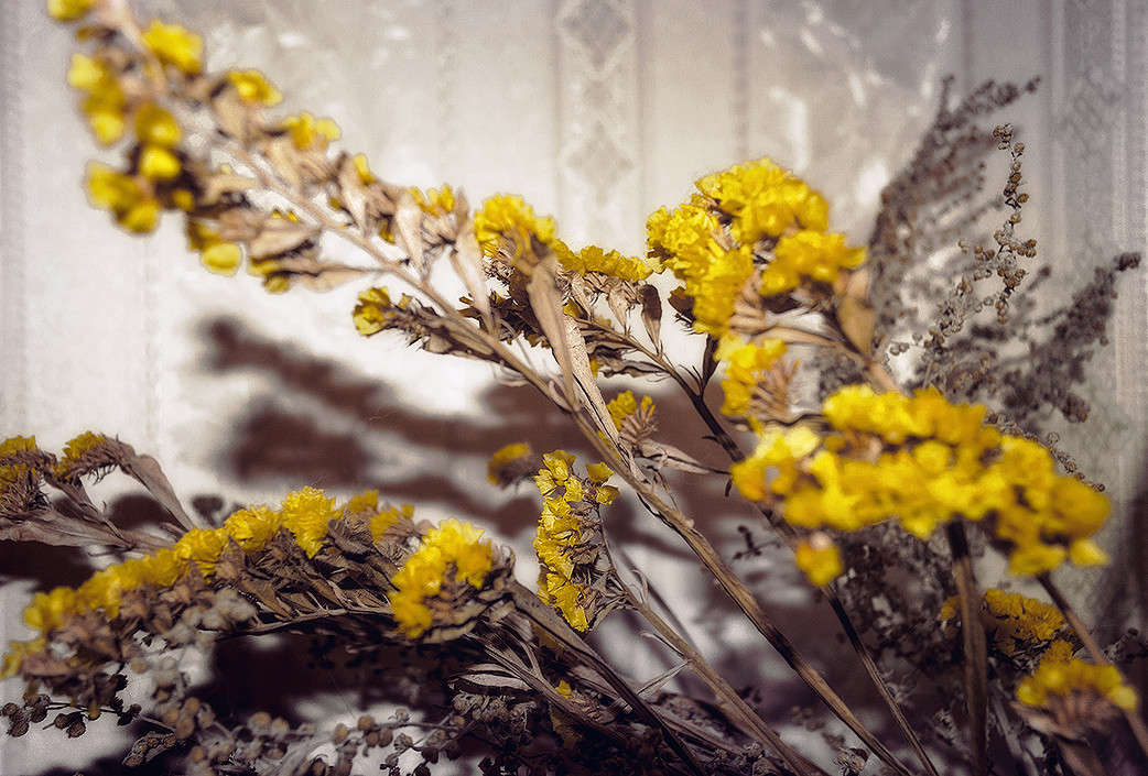 ... ����� ������ ���������� �� PhotoGeek.ru #�����