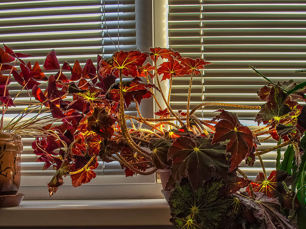 ���-��� ����� ������ ���������� �� PhotoGeek.ru #�������� ���������� #���������������