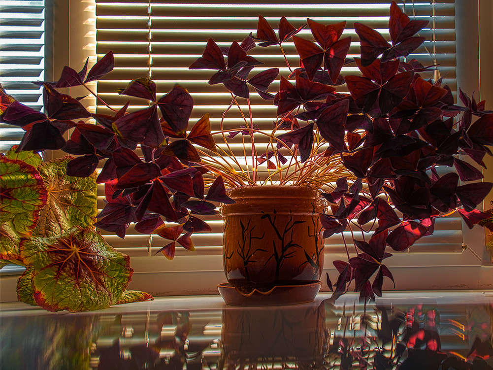 ��� ���� ���-��� ����� ������ ���������� �� PhotoGeek.ru #�������� ���������� #���������������