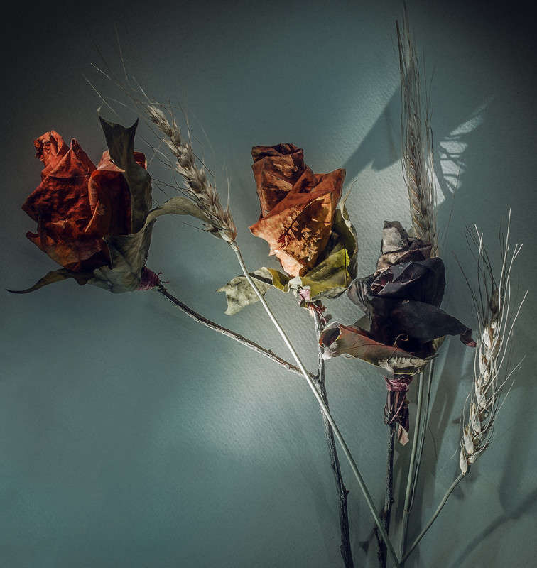 ������������ � ���� ����� ������ ���������� �� PhotoGeek.ru #�������� ���������� #�������������