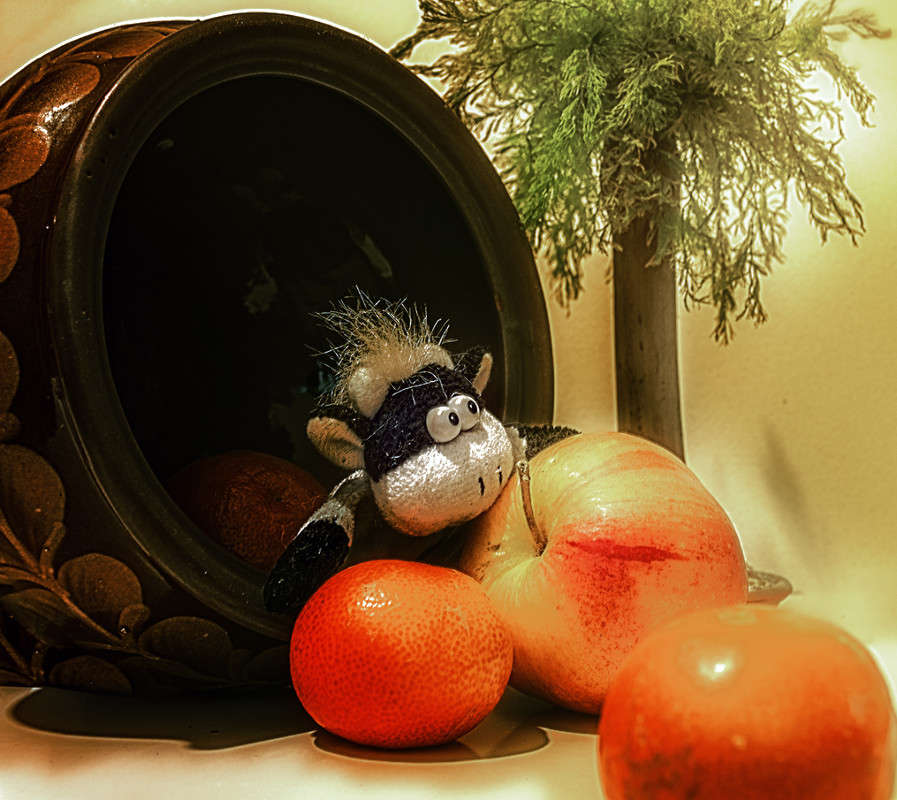 �, ������� ���������!!!!!! ����� ������ ���������� �� PhotoGeek.ru #�������� ���������� #�������������