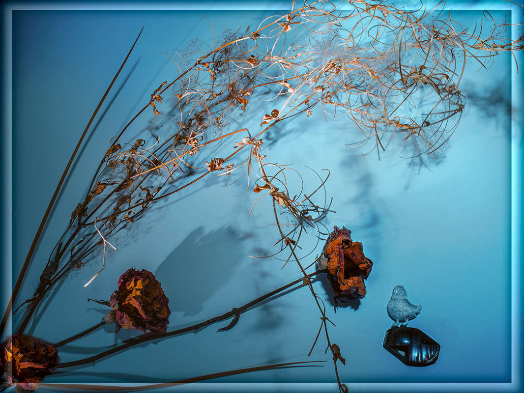 ... ����� ������ ���������� �� PhotoGeek.ru #��������� #�������������