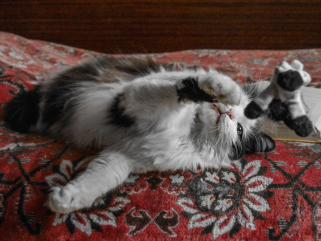 ������ ���...... ����� ������ ���������� �� PhotoGeek.ru #�������� ���������� #���������������