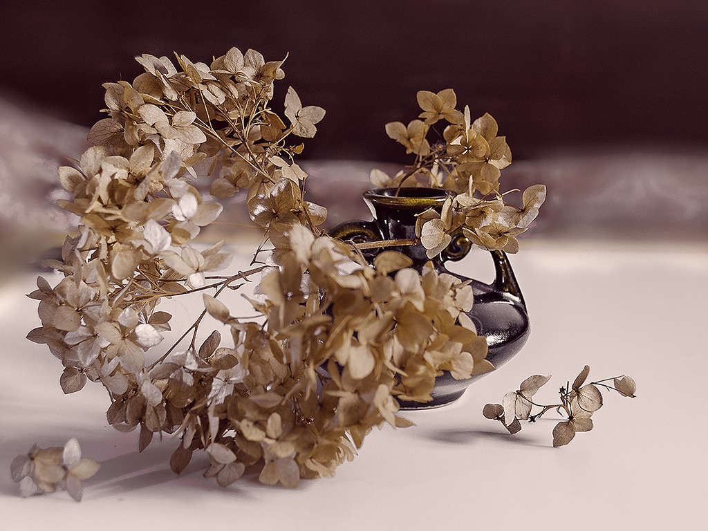 ����������� ����� ������ ���������� �� PhotoGeek.ru #��������� #�������������