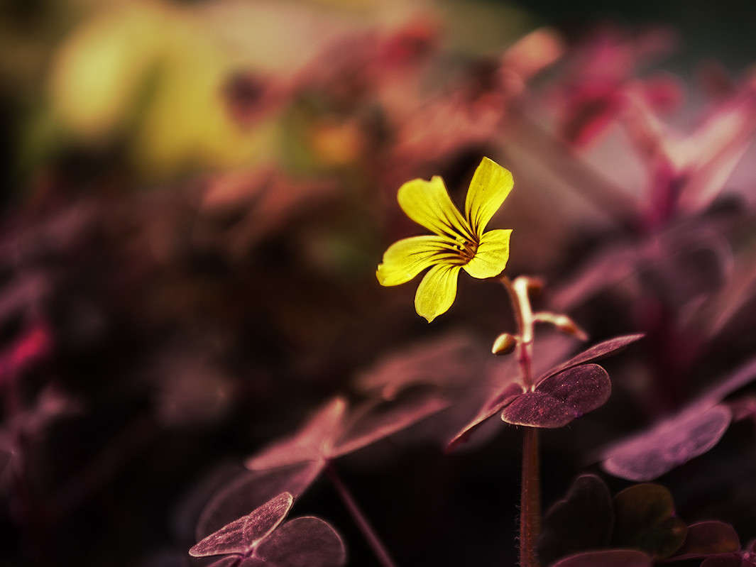 ���������� �������� ����� ������ ���������� �� PhotoGeek.ru #������ ��� ������� #���������