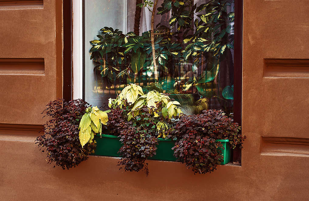 ���� ���� � ������..... ����� ������ ���������� �� PhotoGeek.ru #�������� ���������� #���������������