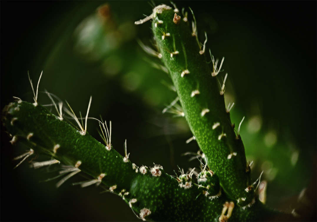 ����� ����� ������ ���������� �� PhotoGeek.ru #����� #����� ��������������