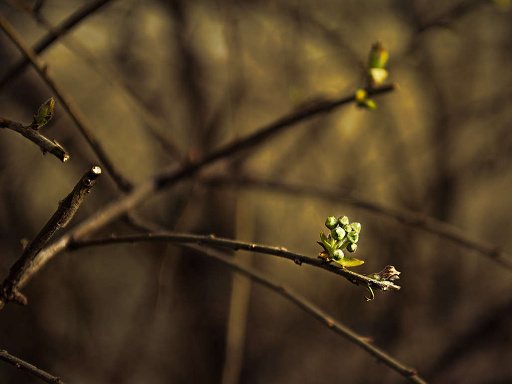 ��� ����� � ��� ������. ����� ������ ���������� �� PhotoGeek.ru #������ ��� ������� #���������